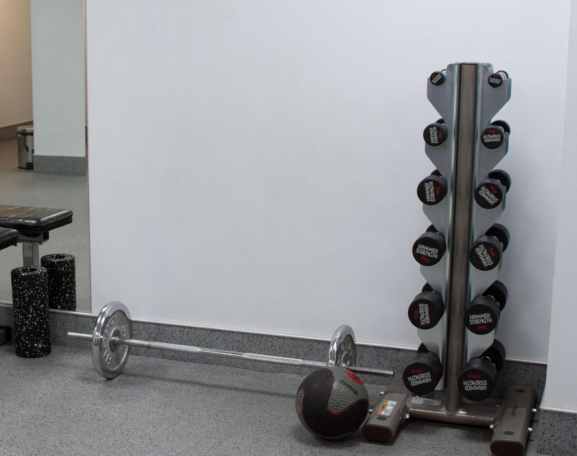 Radisson Blu Hotel Jerevan Exteriör bild Dumbbell rack